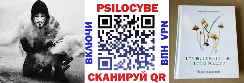 Псилоцибиновые грибы мицелий  Купить где  Данилов 